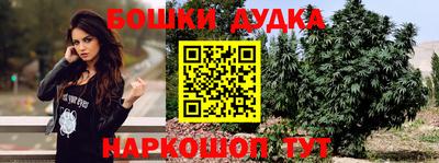стаф Ливны