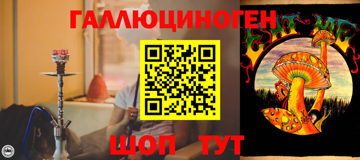 Галлюциногенные грибы мухоморы Жигулёвск